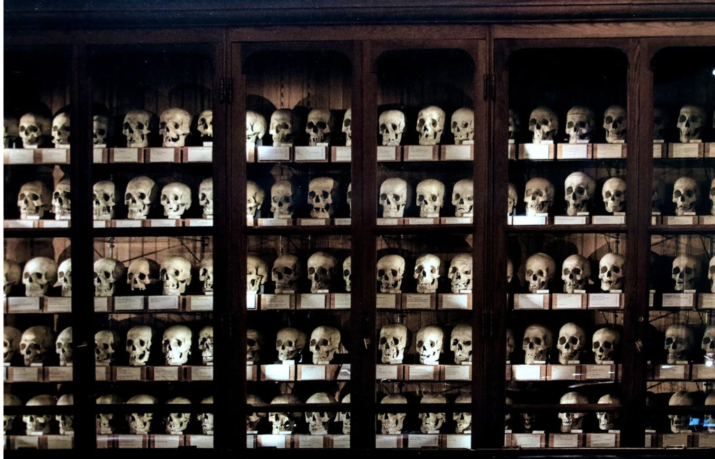 Mutter Museum, Philadelphia